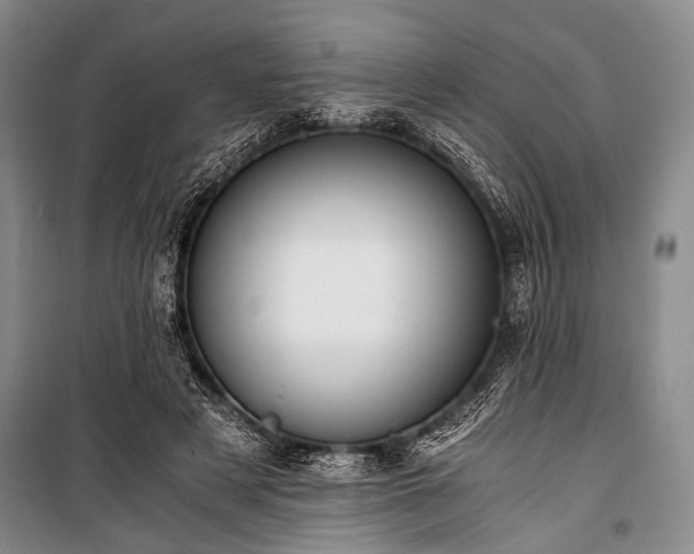 X0000100930497200807011225