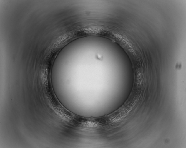 X0000100930498200807011225