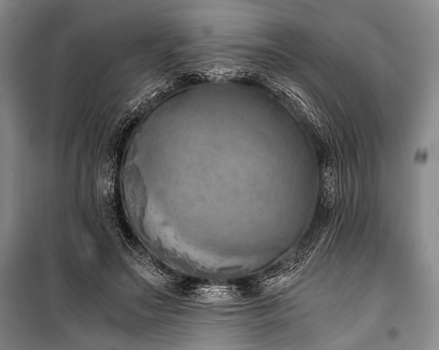 X0000100930499200807011225