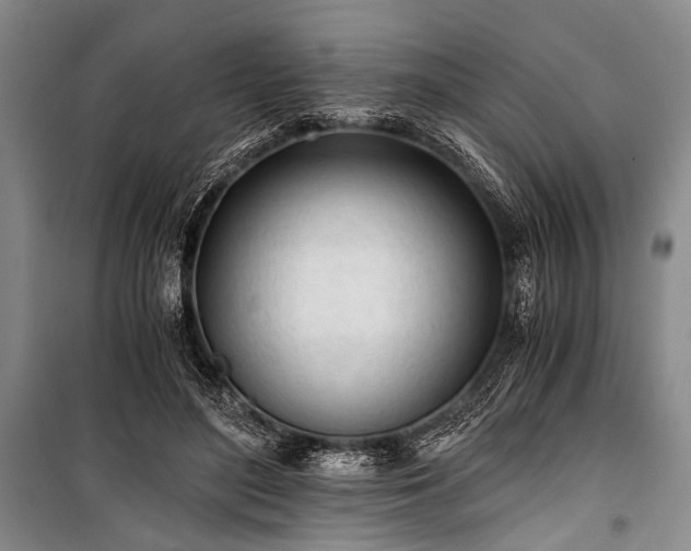 X0000100930500200807011225