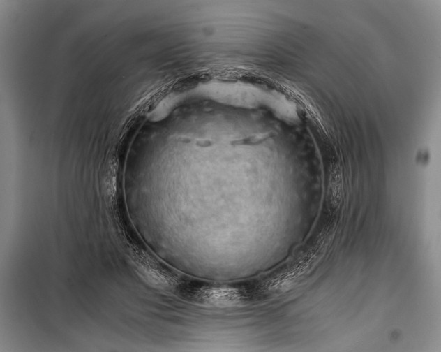 X0000100930501200807011225