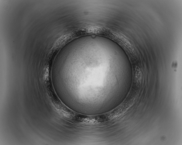 X0000100930502200807011225