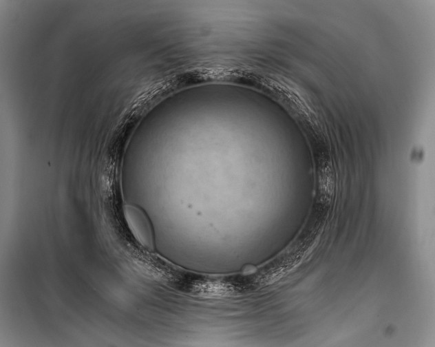 X0000100930503200807011225