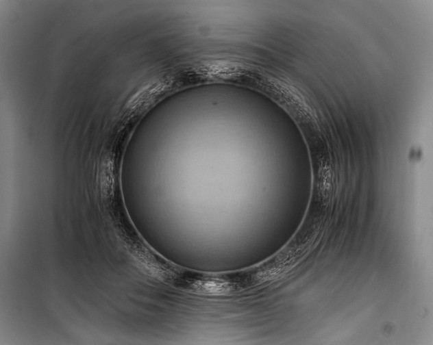 X0000100930506200807011225