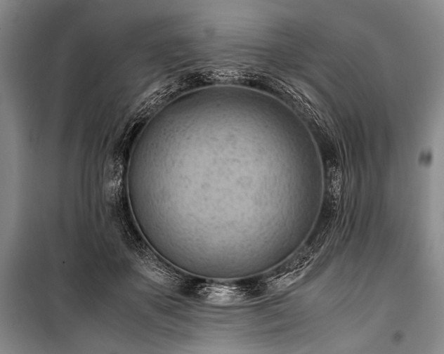 X0000100930507200807011224