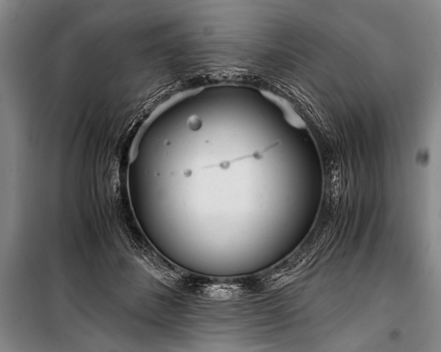 X0000100930508200807011224