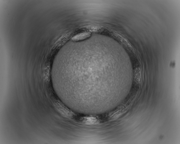 X0000100930509200807011224