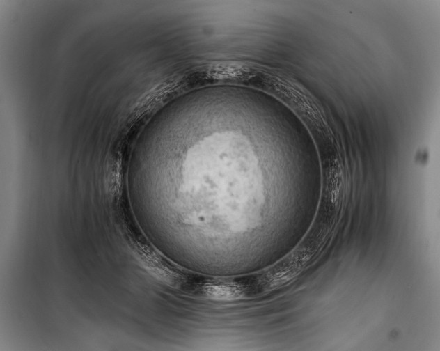 X0000100930510200807011224