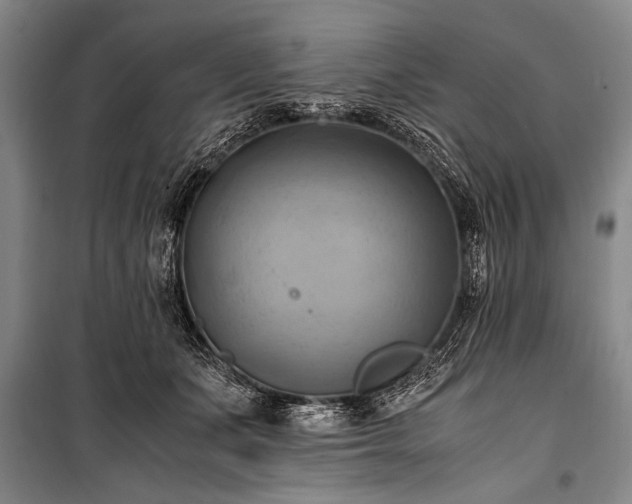 X0000100930511200807011224