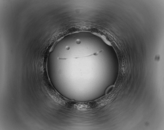 X0000100930512200807011224