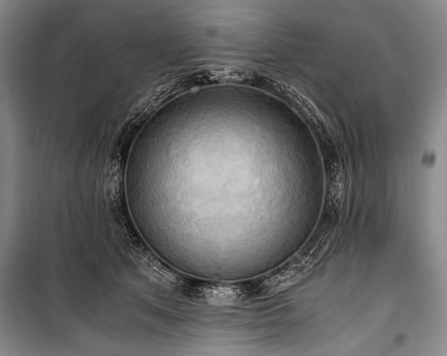 X0000100930513200807011224