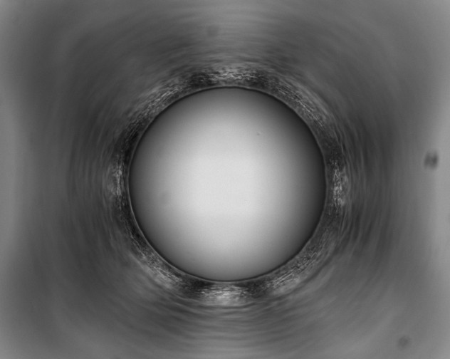 X0000100930514200807011224