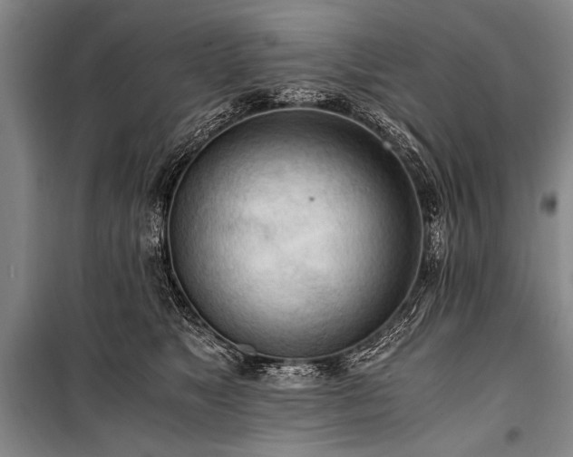 X0000100930517200807011224