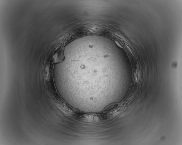 X0000100930520200807011224