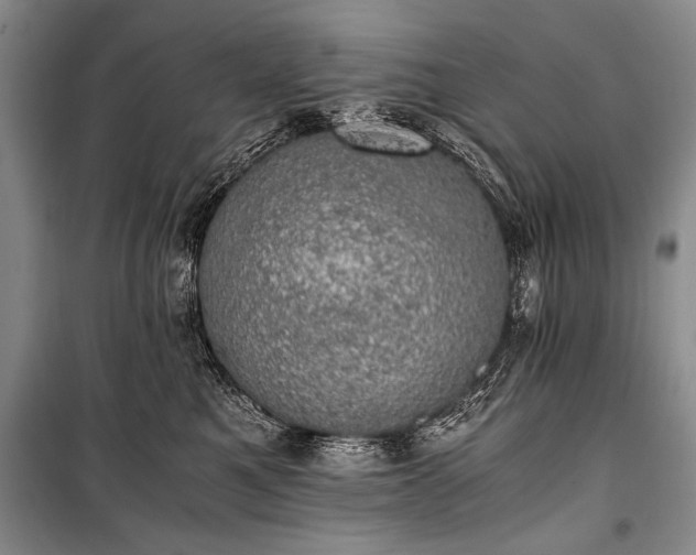 X0000100930521200807011224