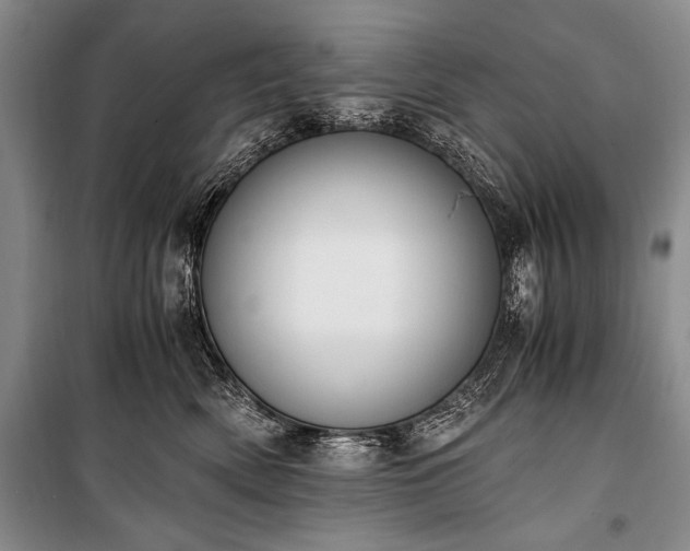 X0000100930522200807011224