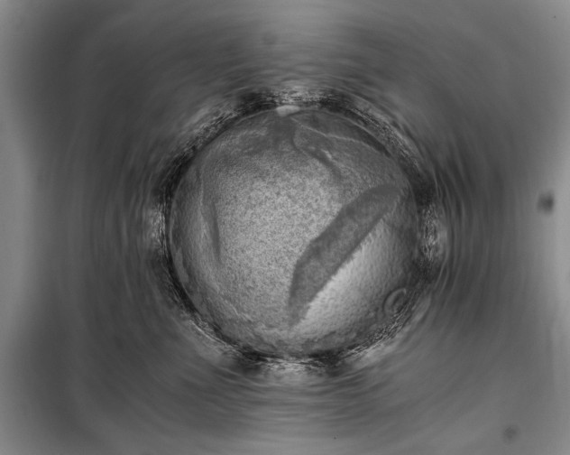 X0000100930523200807011224