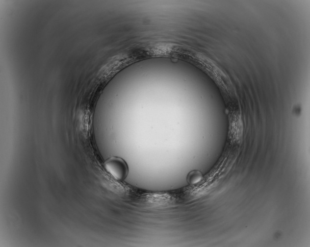 X0000100930525200807011224