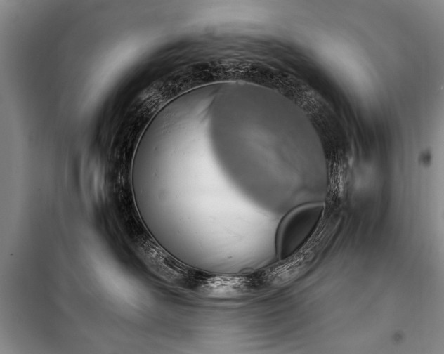 X0000100930526200807011224