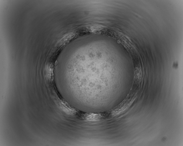 X0000100930527200807011224