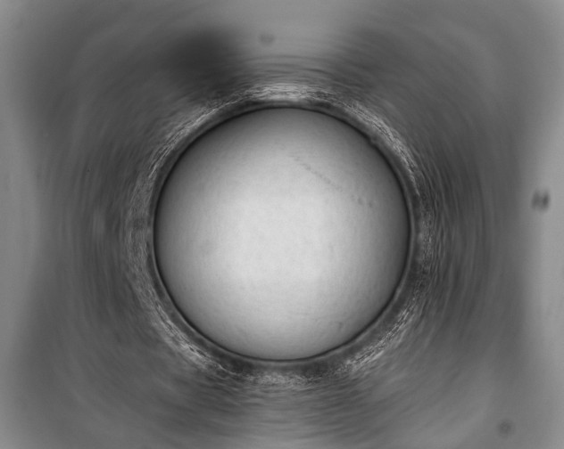 X0000100930529200807011223