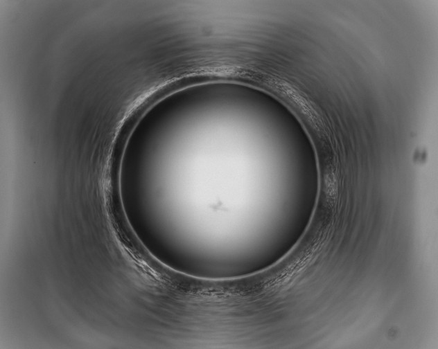 X0000100930532200807011223