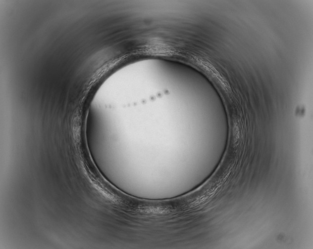 X0000100930533200807011223