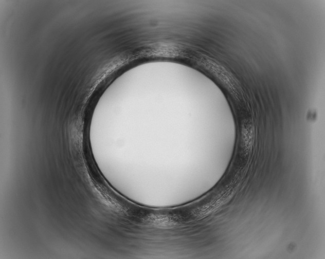 X0000100930534200807011223