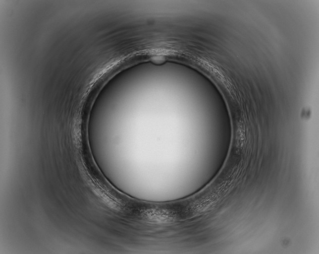 X0000100930535200807011223