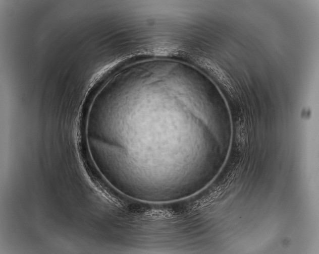 X0000100930536200807011223