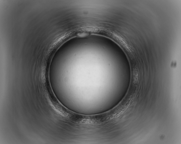 X0000100930538200807011223