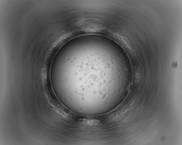 X0000100930539200807011223