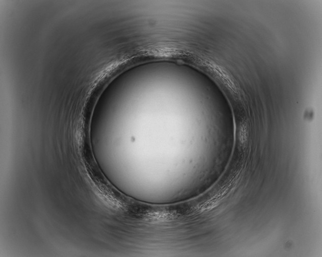 X0000100930540200807011223