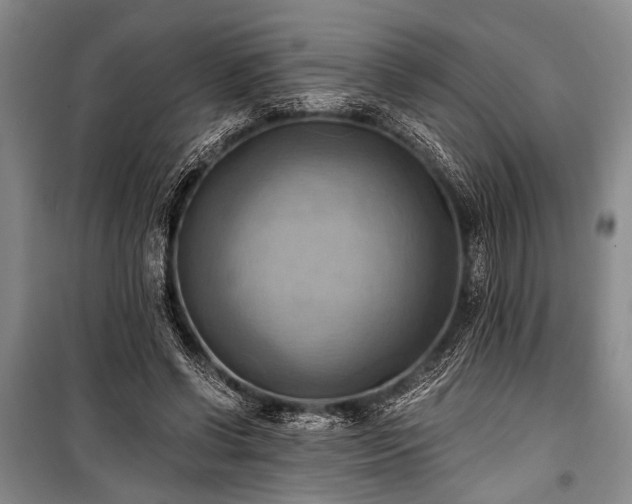 X0000100930542200807011224