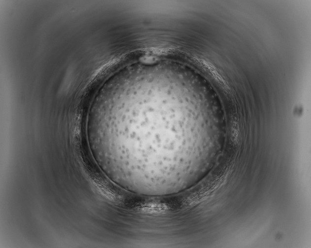 X0000100930543200807011224