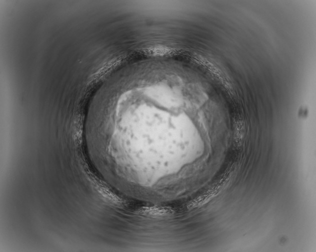 X0000100930545200807011224