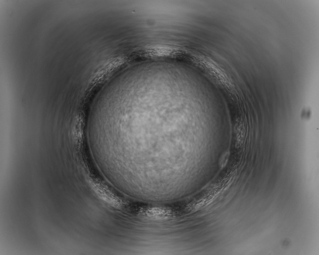 X0000100930546200807011224