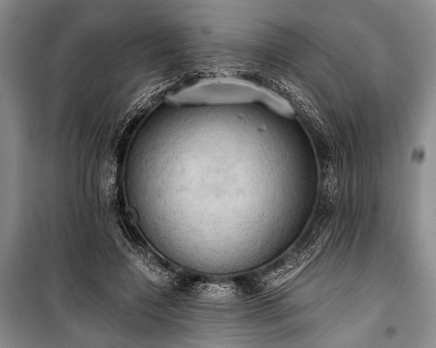 X0000100930548200807011224