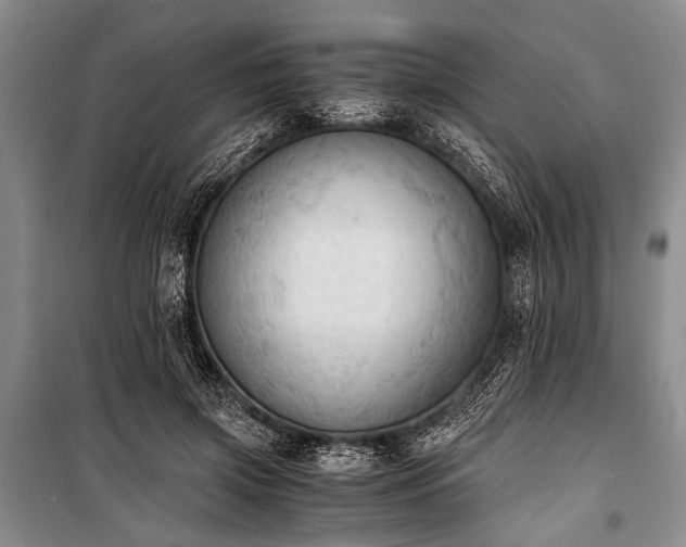 X0000100930549200807011224