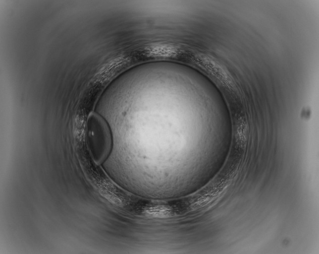 X0000100930551200807011224