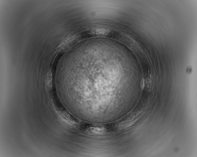 X0000100930552200807011224