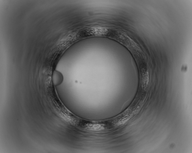 X0000100930553200807011224