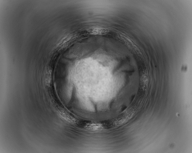 X0000100930554200807011224