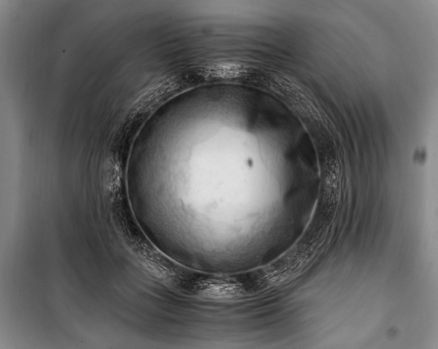 X0000100930555200807011224