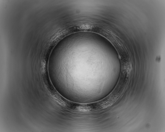 X0000100930556200807011224