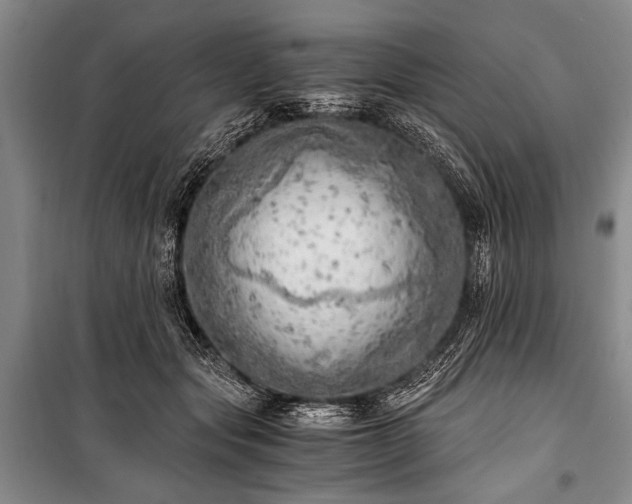 X0000100930557200807011224