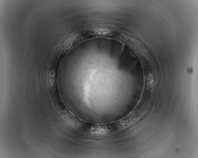 X0000100930559200807011224