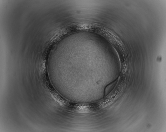 X0000100930560200807011224