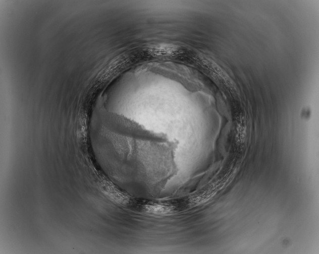 X0000100930561200807011224