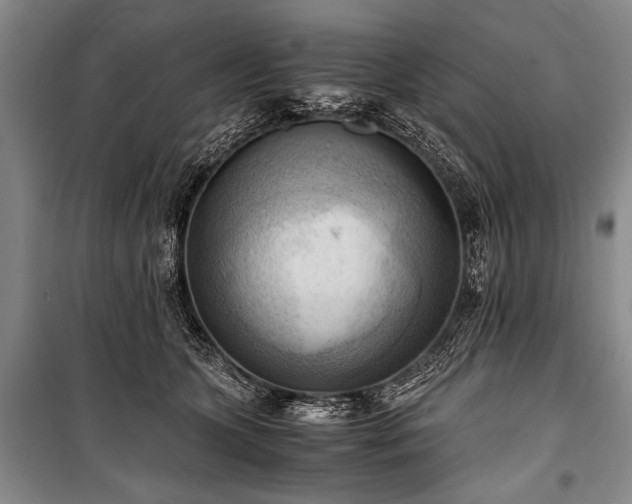 X0000100930563200807011224